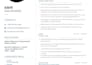 design and write a professional resume or CV